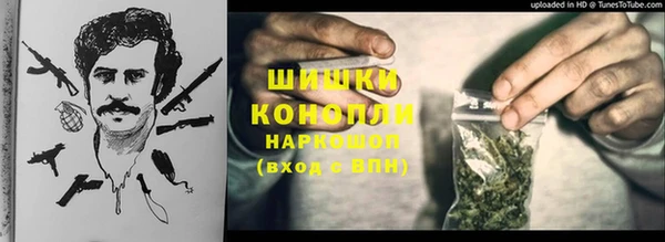 ешки Алексин