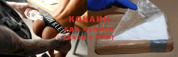 ешки Алексин
