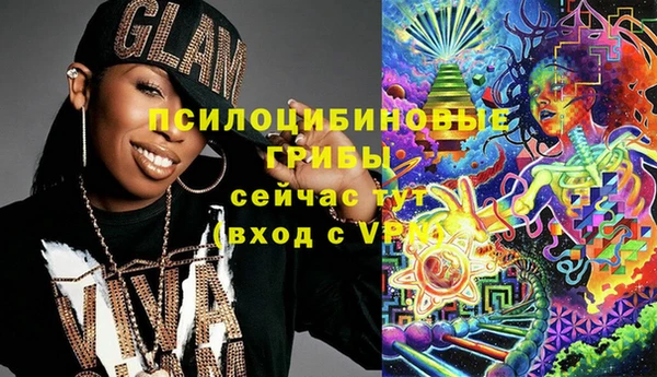 ешки Алексин